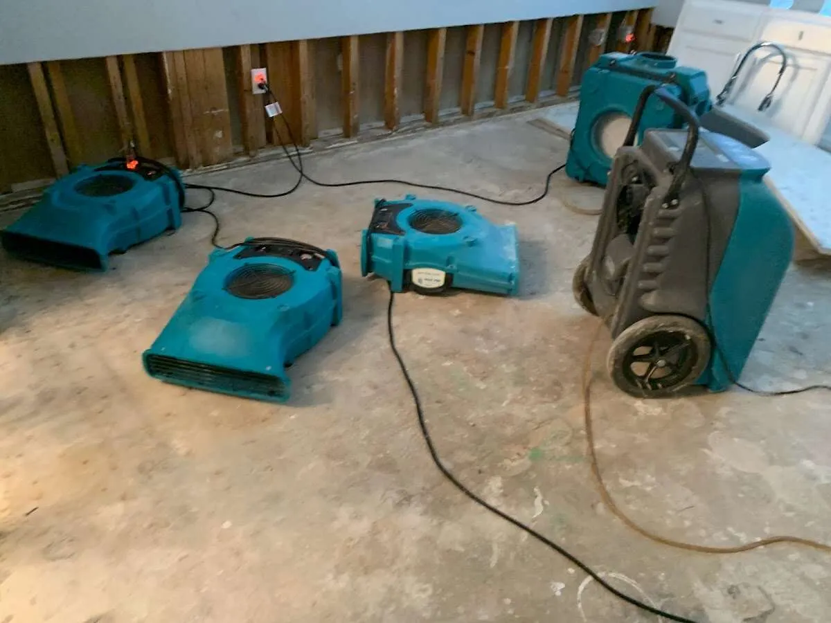 Basement Flood Cleanup in Jericho, VT